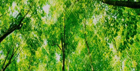 item-banner